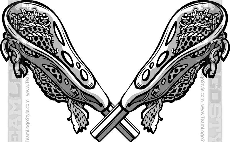 800x495 Lacrosse Stick Vector