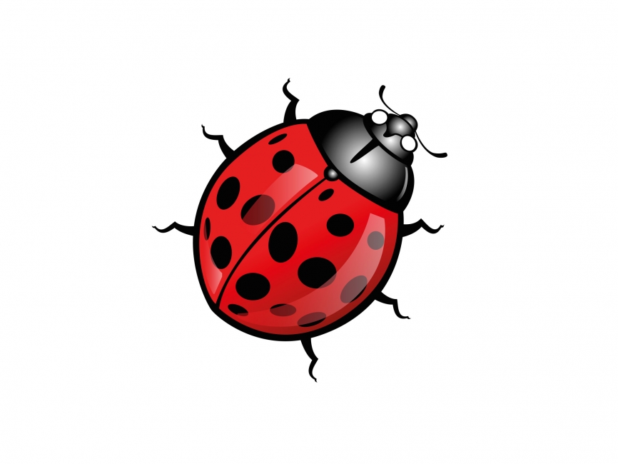 Ladybug Vector at Vectorified.com | Collection of Ladybug Vector free ...