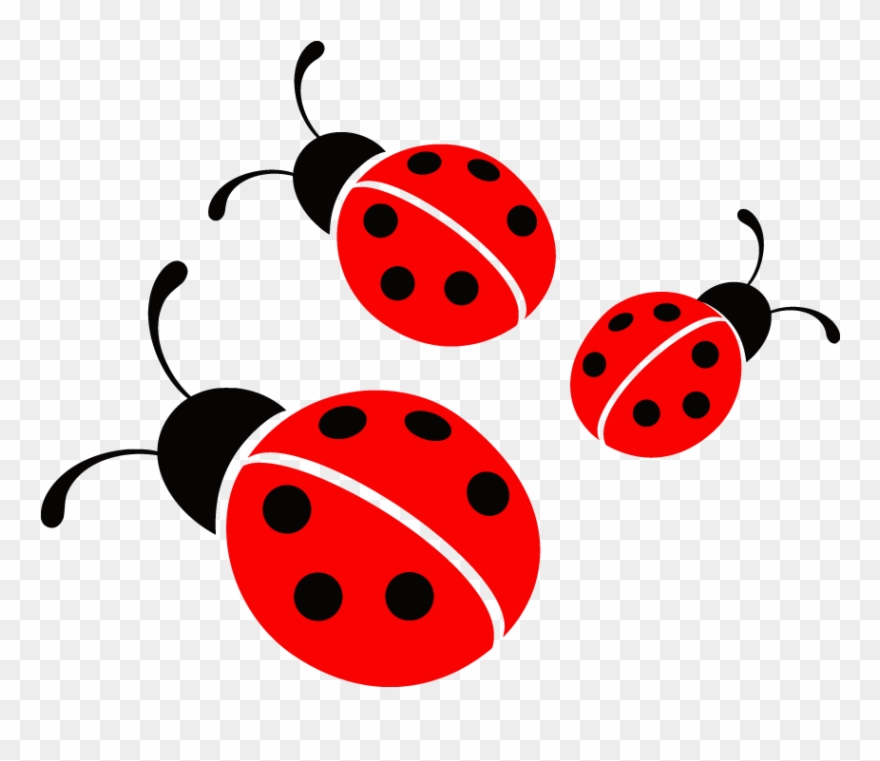 880x761 Ladybug Vector Image
