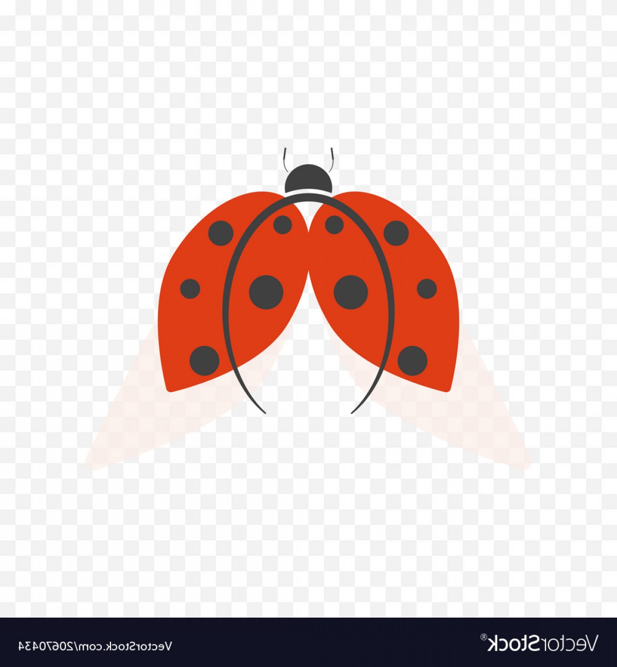 1200x1296 Ladybug Vector Logo Hoodamathrun