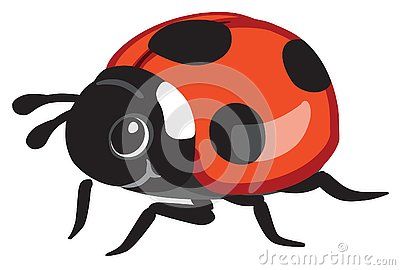400x270 Cartoon Ladybird Or Ladybug Vector Illustration Isolated