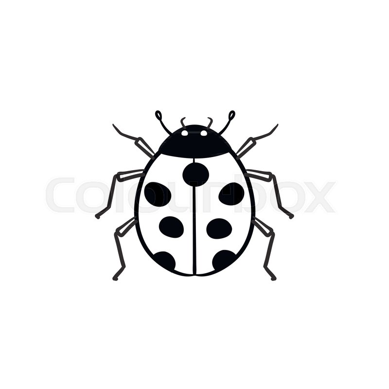 800x800 Ladybug Hand Drawn Outline Doodle Stock Vector Colourbox