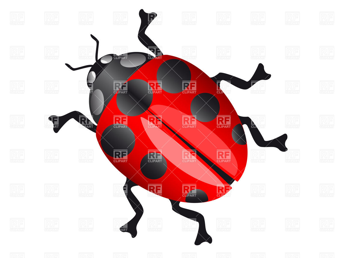 1200x900 Red Ladybug Vector Image Of Plants And Animals Konturvid