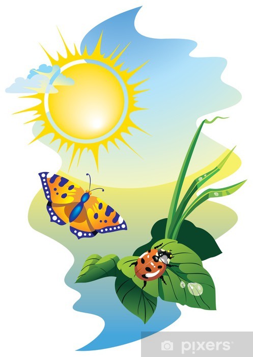 497x700 Sunrise Landscape Flying Butterfly And Ladybug, Vector Wall Mural