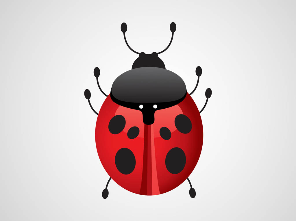 1024x765 Vector Ladybug Vector Art Graphics