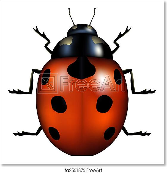 561x581 Free Art Print Of Ladybug Vector Illustration Of A Ladybug