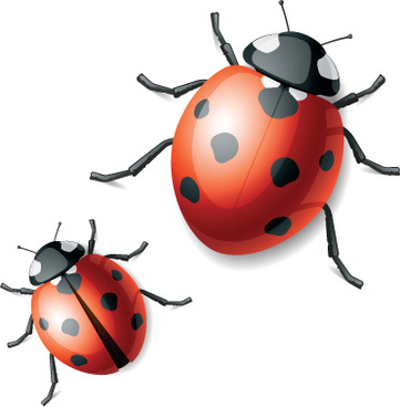 361x368 Free Download Ladybug Vector Free Vector Download