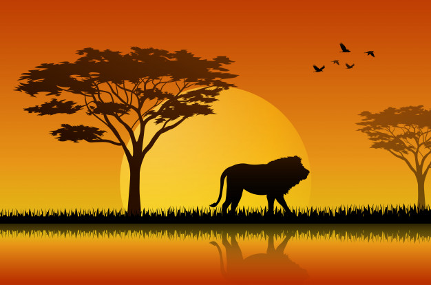 Silhouette Of Lion 626x414 Silhouette Of Lion