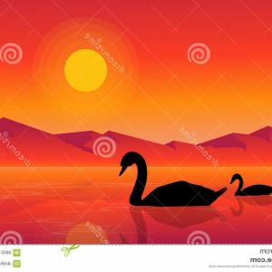 Stock Illustration Sunset Swan Scenery Lake Silhouettes Vector Art 300x300 Stock Illustration Sunset Swan Scenery Lake Silhouettes Vector Art