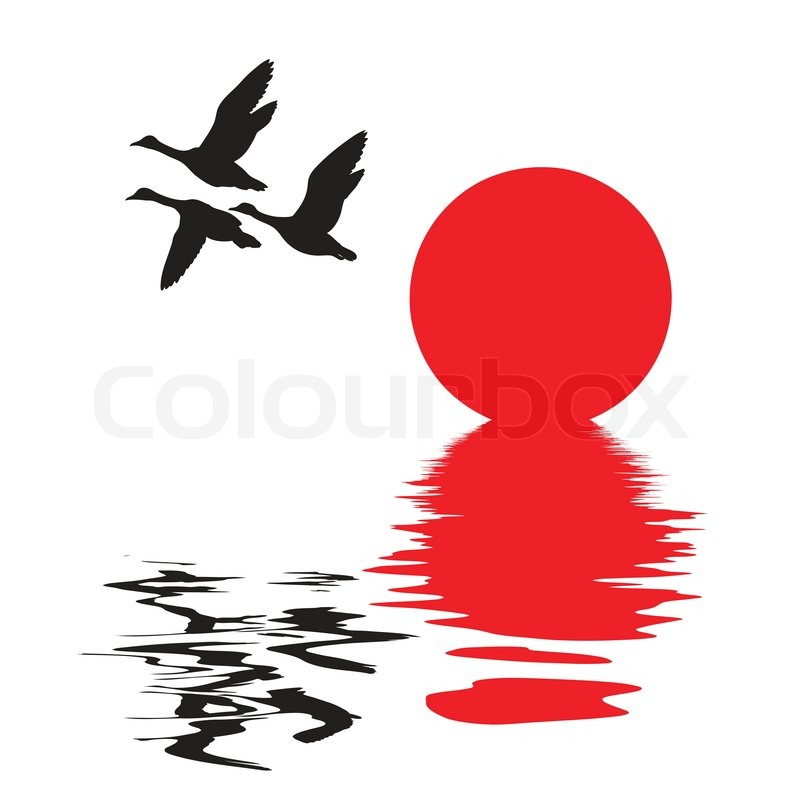 Vector Silhouette Flying Ducks On Stock Vector Colourbox 800x800 Vector Silhouette Flying Ducks On Stock Vector Colourbox