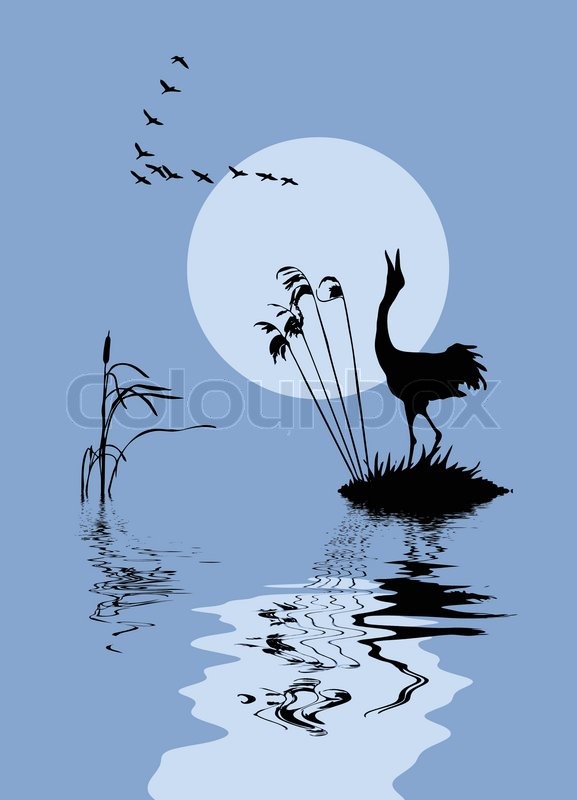 Vector Silhouette Of The Birds On Lake Stock Vector Colourbox 577x800 Vector Silhouette Of The Birds On Lake Stock Vector Colourbox