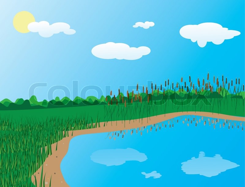 800x613 The Grass On The Lake Vector Stock Vector Colourbox