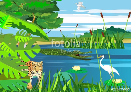 500x352 Wetlands, On The Lake, Vector Landscape, Jaguar, American Pantanal
