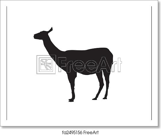 560x470 Free Art Print Of Lama