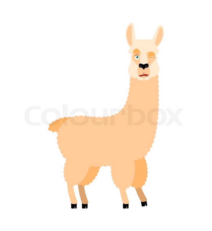 734x800 Lama Alpaca Winking Animal Happy Stock Vector Colourbox