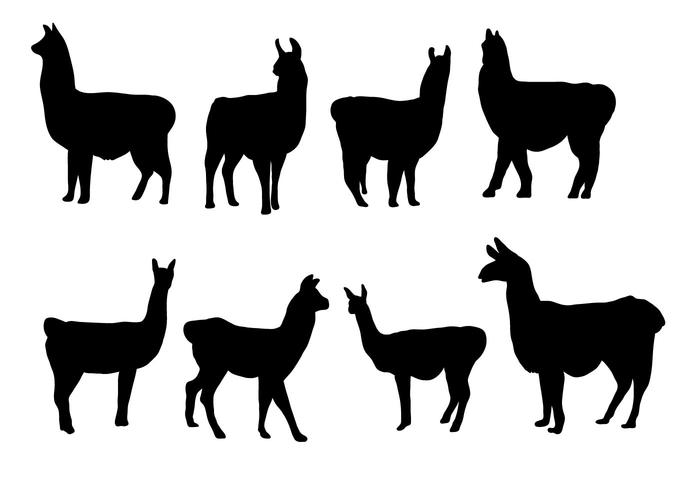 700x490 Lama Free Vector Art