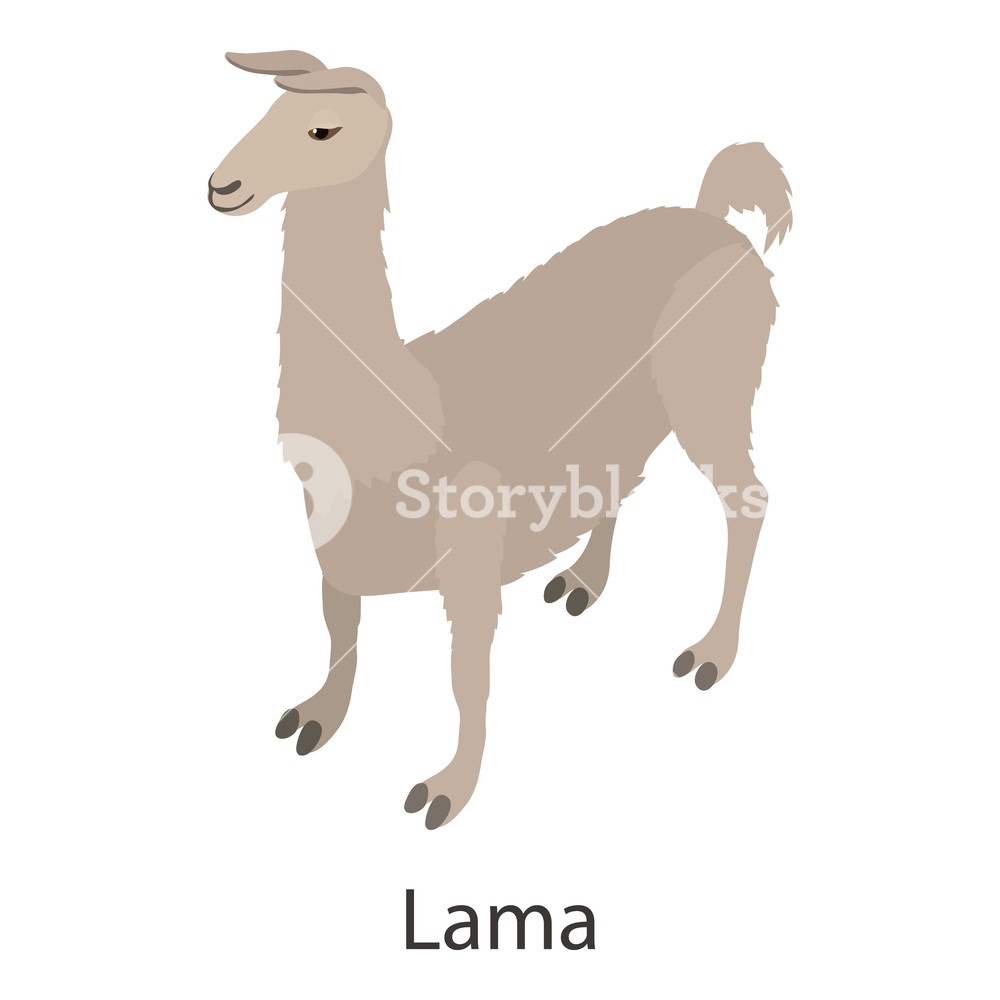 1000x1000 Lama Icon Isometric Illustration Of Lama Vector Icon For Web