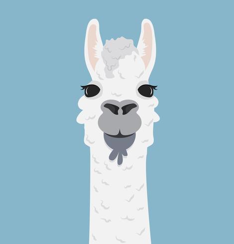 470x490 Alpaca Lama Portrait Vector Illustration