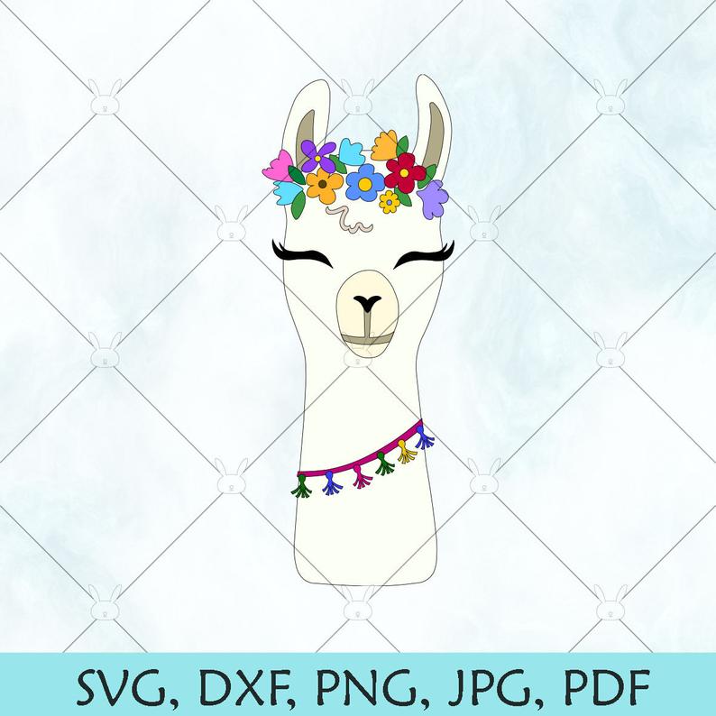 794x794 Llama Cute Llama Llama Clipart Lama Vector Etsy