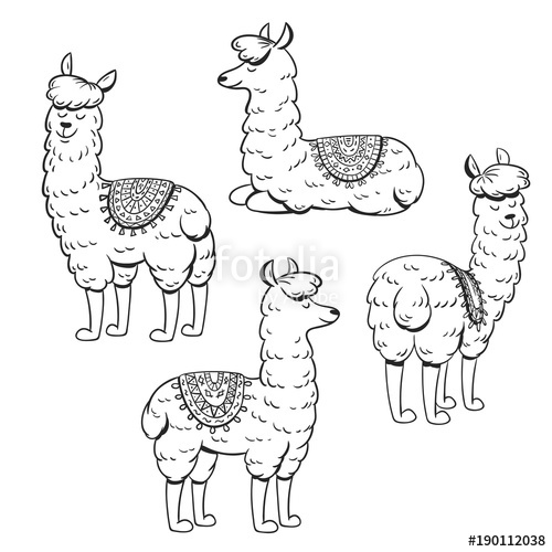 500x500 Set Of Hand Drawn Cute Lama Vector Illustration Stock Image