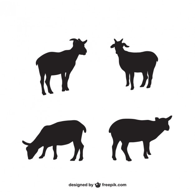 Lamb Silhouettes Vector Free Download 626x626 Lamb Silhouettes Vector Free Download