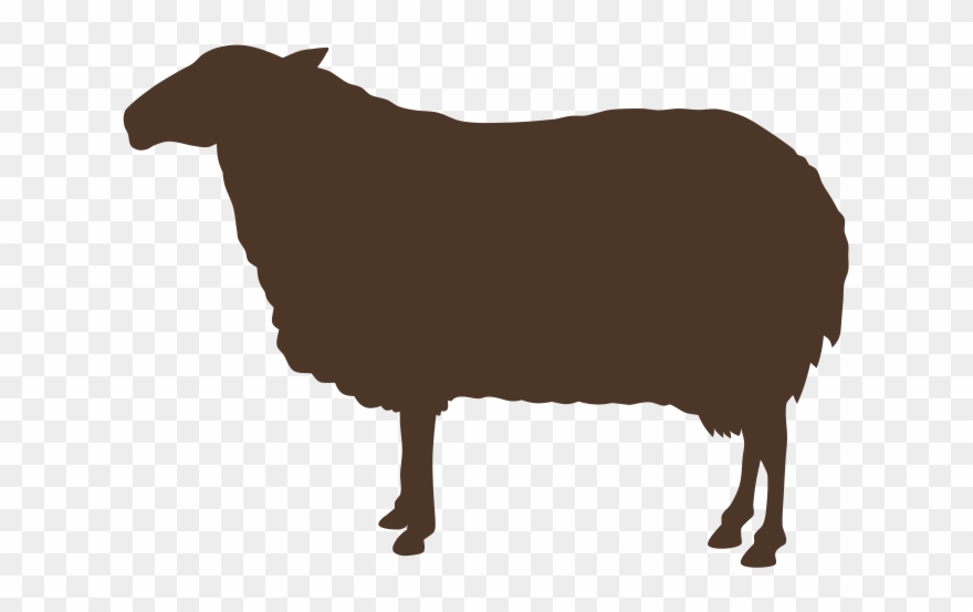 Ruminants 880x553 Ruminants