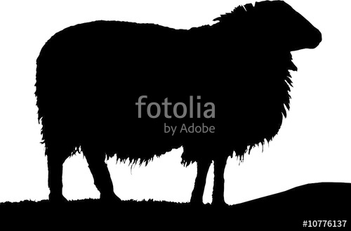 Sheep Silhouette Stock Image And Royalty Free Vector 500x329 Sheep Silhouette Stock Image And Royalty Free Vector