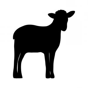 Silhouette Of A Sheep Vector Catchsplace 300x300 Silhouette Of A Sheep Vector Catchsplace