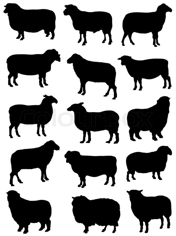 Collection Of Silhouettes Of Sheep Stock Vector Colourbox 599x800 Collection Of Silhouettes Of Sheep Stock Vector Colourbox