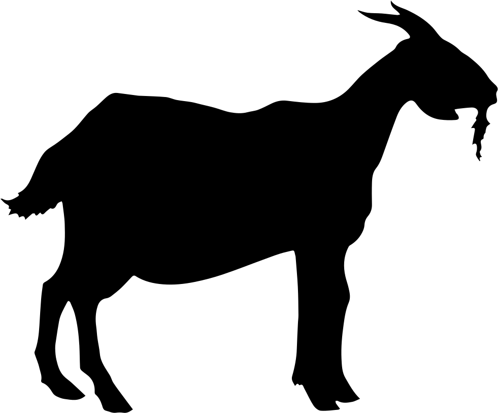 Download Lamb Comments 981x813 Download Lamb Comments
