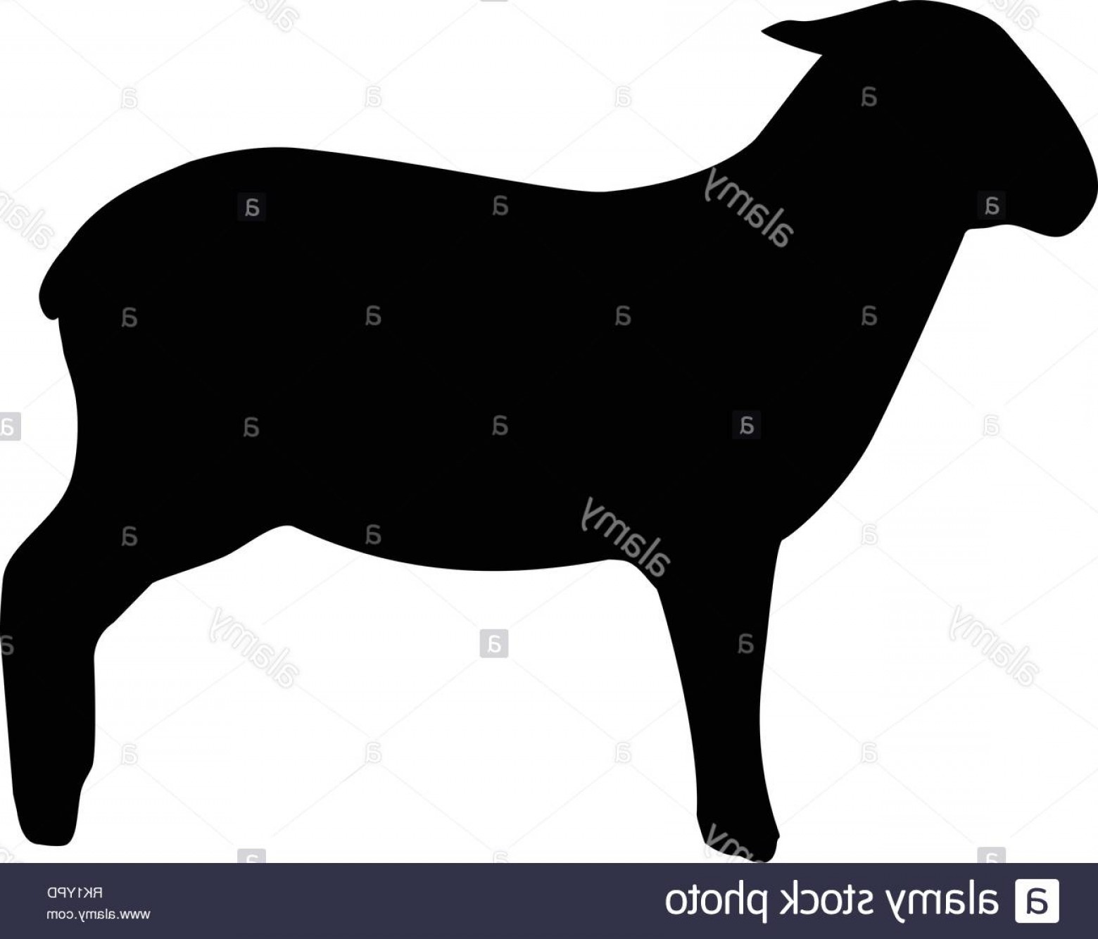 Farm Animal Black Silhouette Isolated On White Background Sheep 1560x1334 Farm Animal Black Silhouette Isolated On White Background Sheep