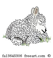 180x195 Free Art Print Of Hand Drawn Protea Vector Sketch Of Australian