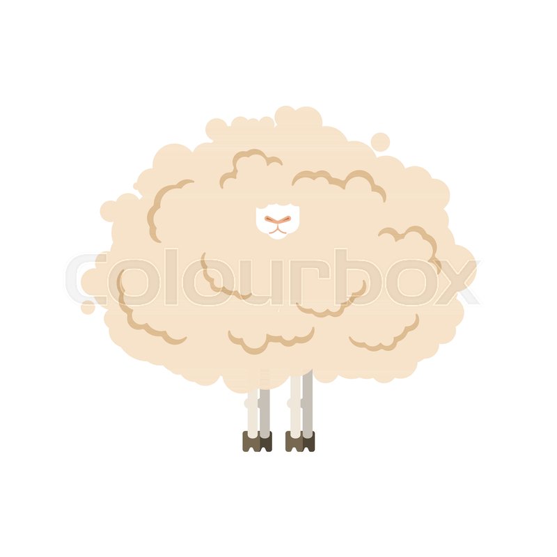 800x800 Hairy Sheep Isolated Shaggy Lamb Stock Vector Colourbox