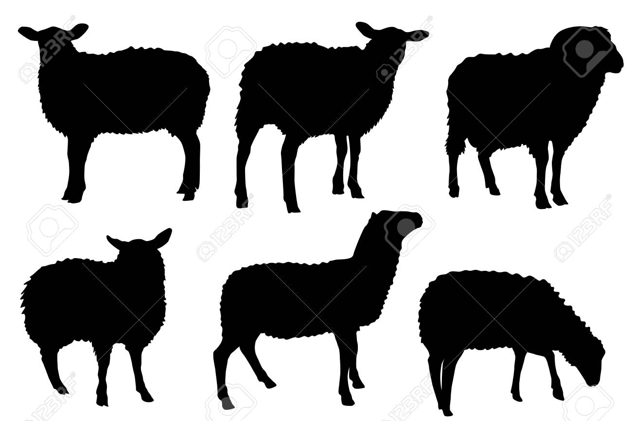 1300x866 Huge Collection Of 'lamb Silhouette Vector' Download More Than
