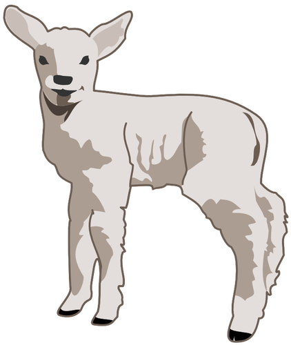 422x500 Lamb Vector Image
