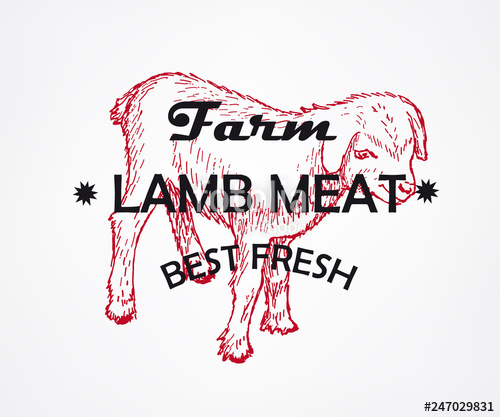 500x417 Best Fresh Meat Farm Lamb Vector Illustration Logo Stock Image