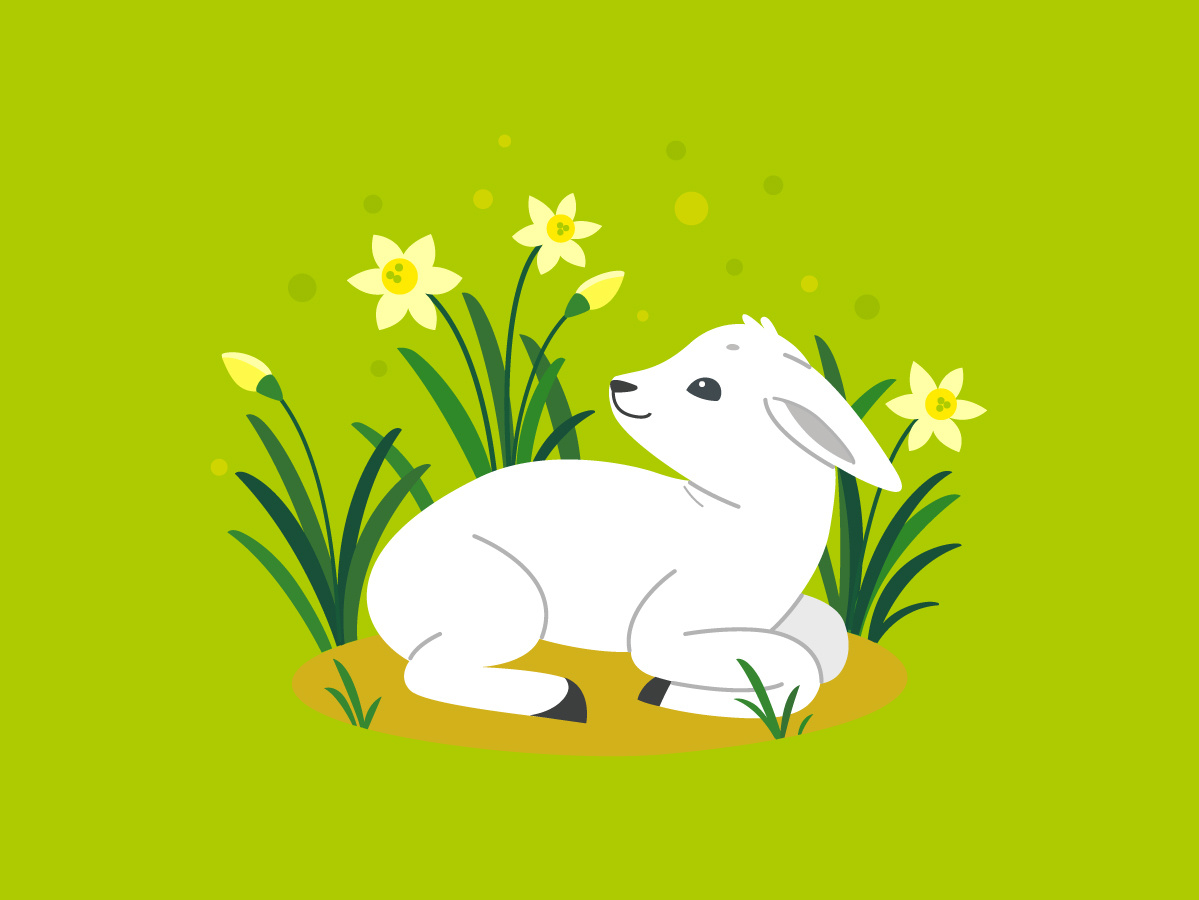 1199x900 Little Lamb, Vector Illustration