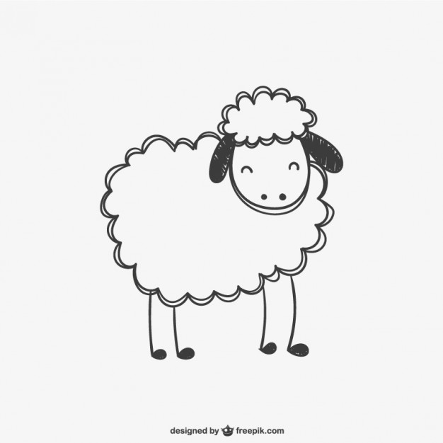 626x626 Sheep Vectors, Photos And Free Download