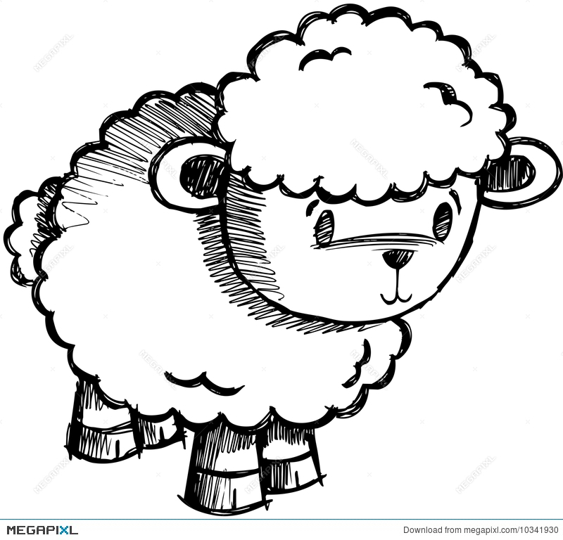 800x768 Sketchy Sheep Lamb Vector Illustration
