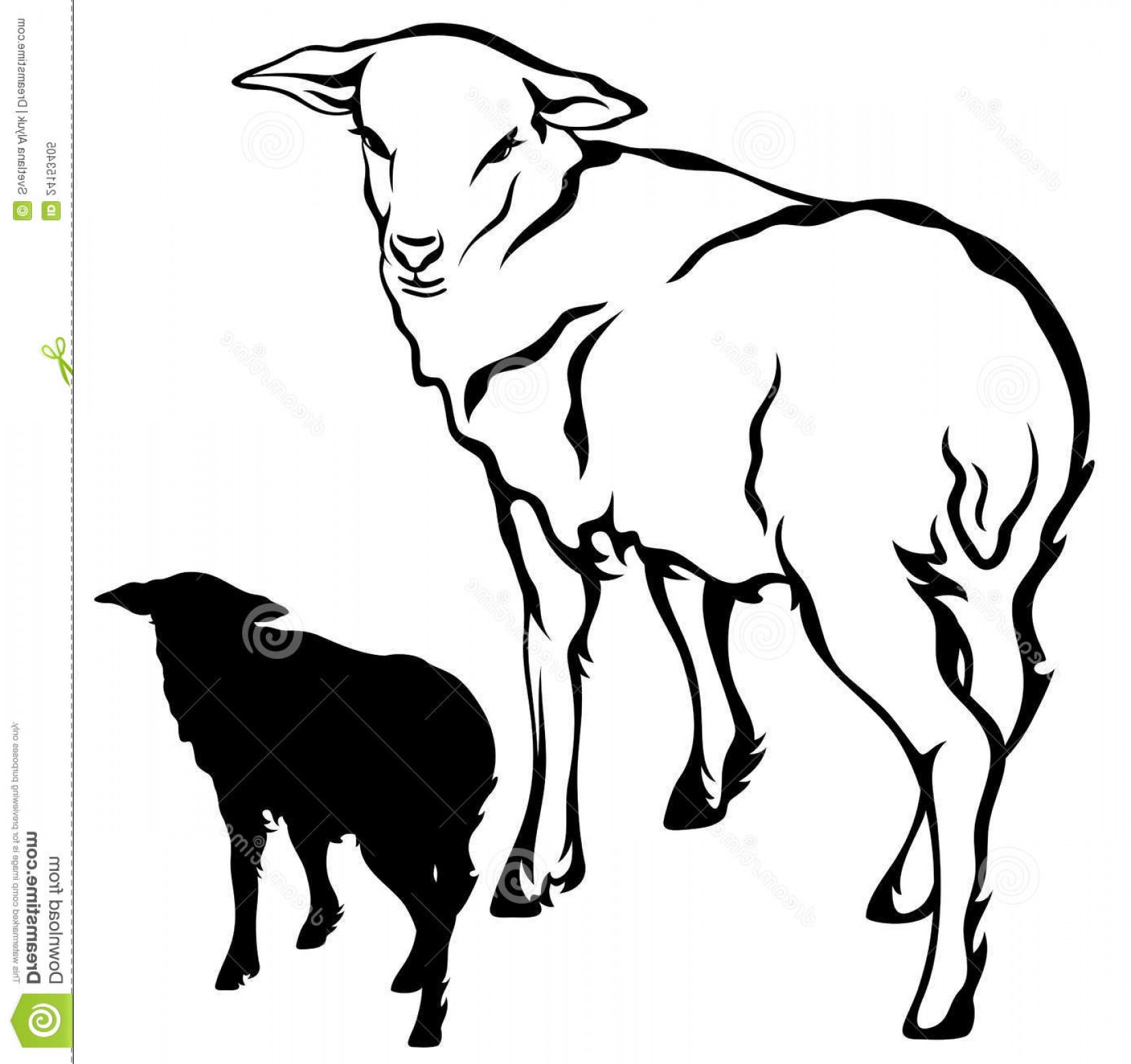 1658x1560 Lamb Vector Catchsplace