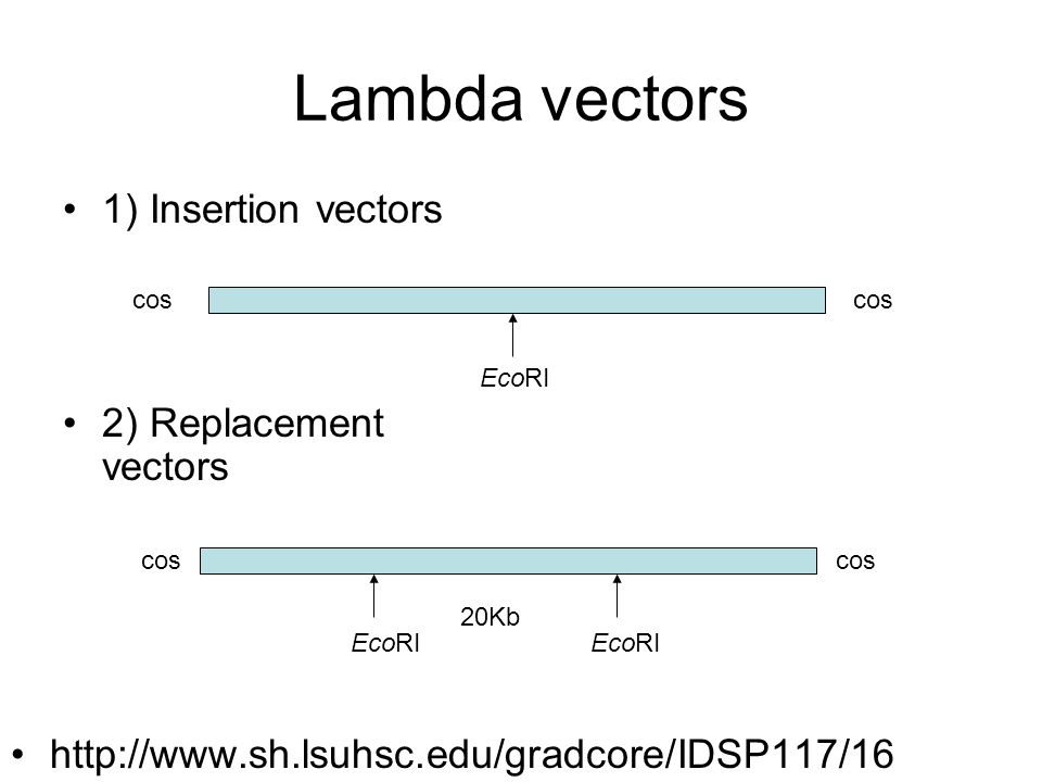 Lambda Vector at Vectorified.com | Collection of Lambda Vector free for ...