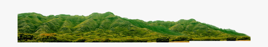 920x164 Land Vector Landscape