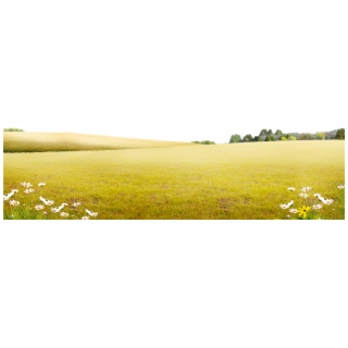 320x320 Land Vector Nature Background
