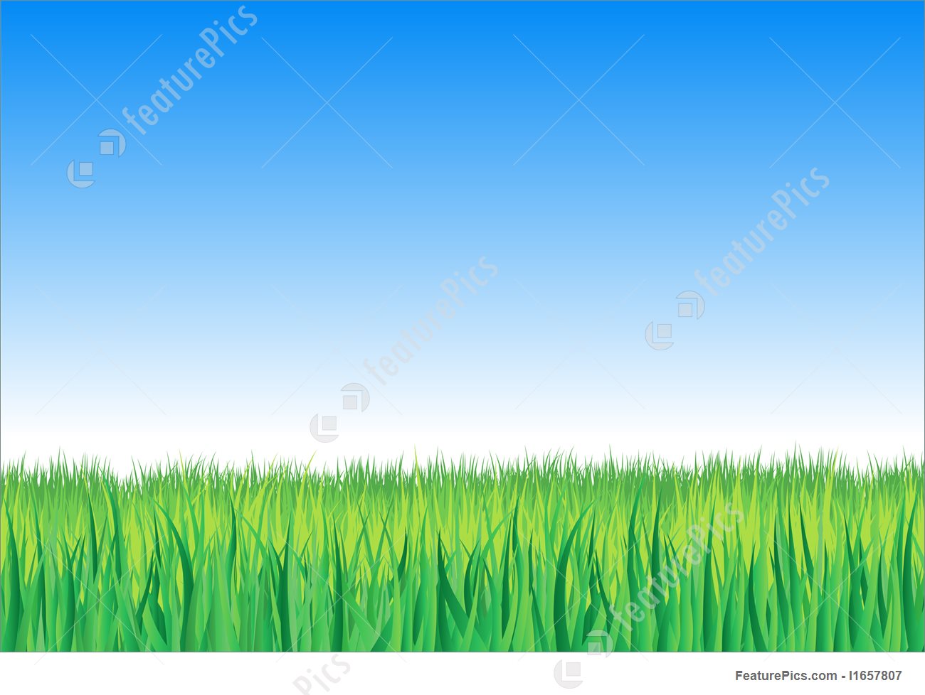 1300x978 Plants Vector Grass Background