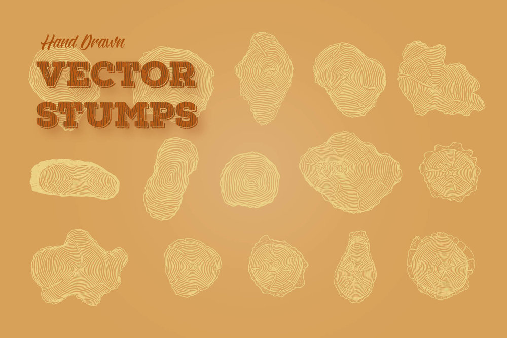 1000x667 Creative Veila Download Forest Land Free Wood Textures