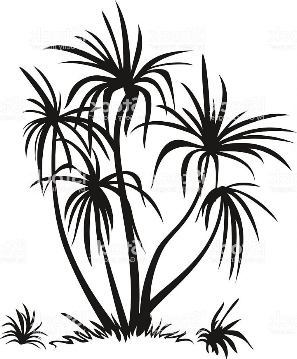 Jungle Landscape Silhouette Vector Hoodamathrun 1017x1228 Jungle Landscape Silhouette Vector Hoodamathrun