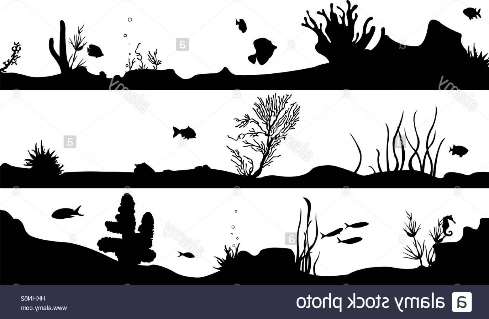 Stock Photo Marine Landscape Silhouette Isolated Cqrecords 1560x1017 Stock Photo Marine Landscape Silhouette Isolated Cqrecords