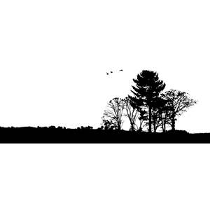 300x300 Trees Landscape Silhouette Clipart, Cliparts Of Trees Landscape