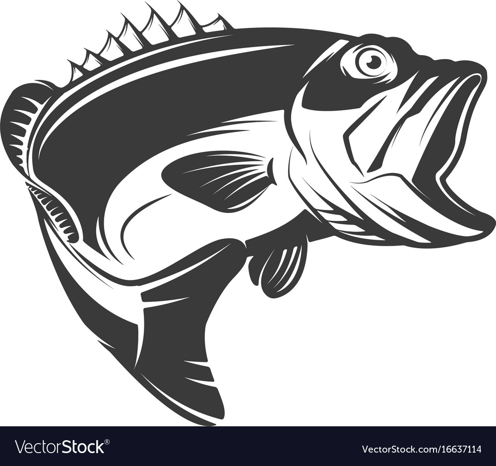 Largemouth Bass Vector