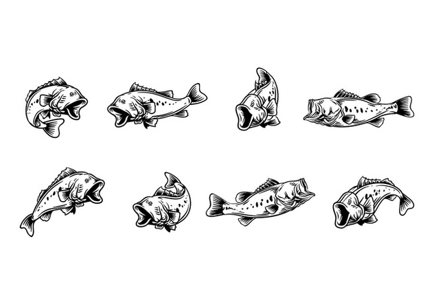 632x443 Largemouth Bass Vector Free Vector Download Cannypic